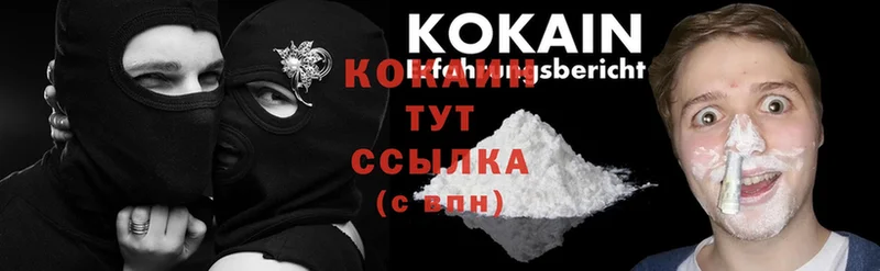 Cocaine FishScale  Камызяк 