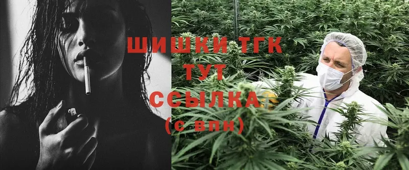 Каннабис Ganja  купить закладку  Камызяк 